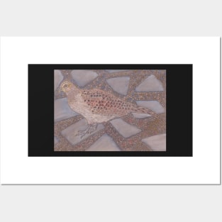 Mrs MP3 (Hen Pheasant) Posters and Art